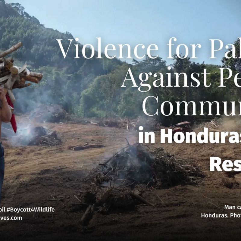 Violence for Palm Oil Against Peasant Communities in Honduras Meets&nbsp;Resistance