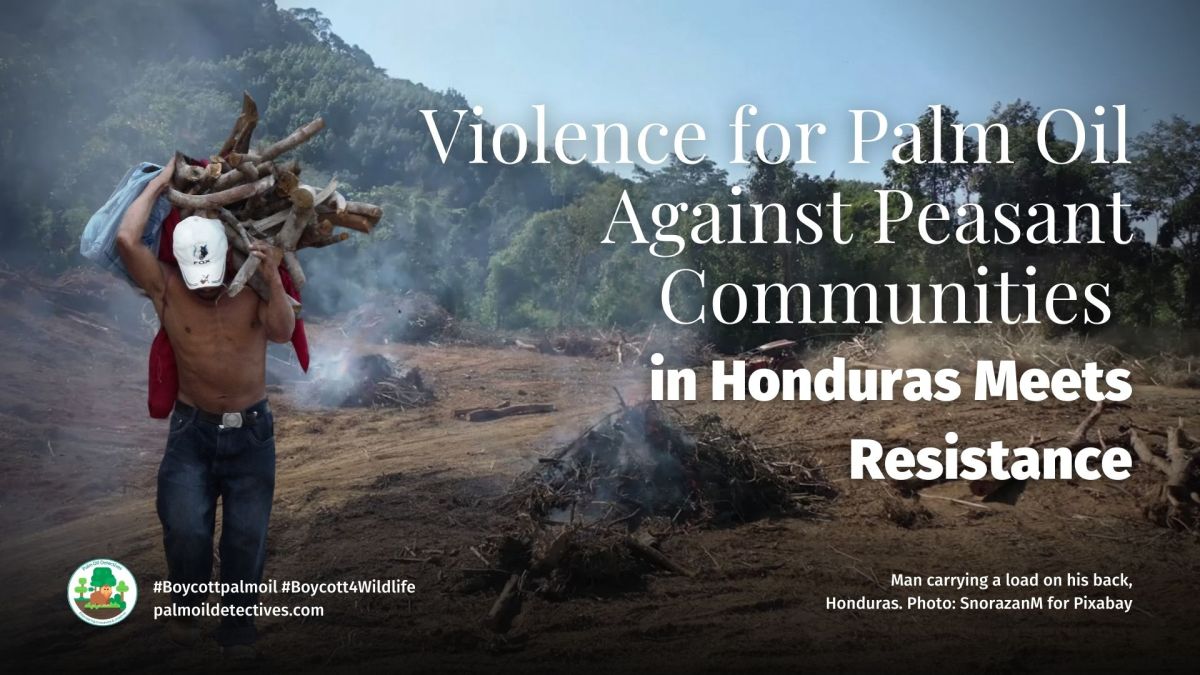 Violence for Palm Oil Against Peasant Communities in Honduras Meets&nbsp;Resistance