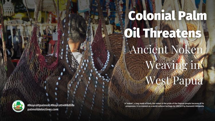 Colonial Palm Oil Threatens Ancient Noken Weaving in West Papua (2)