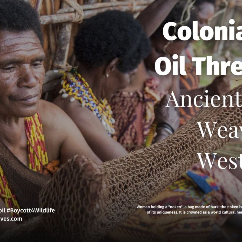 Palm Oil Threatens Ancient Noken Weaving in West&nbsp;Papua