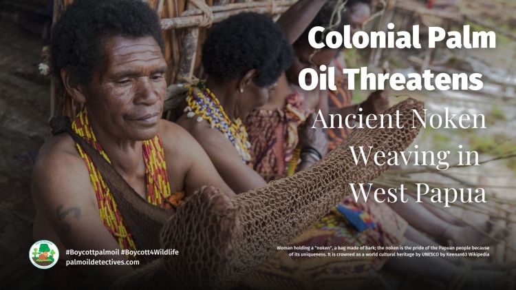 Palm Oil Threatens Ancient Noken Weaving in West&nbsp;Papua