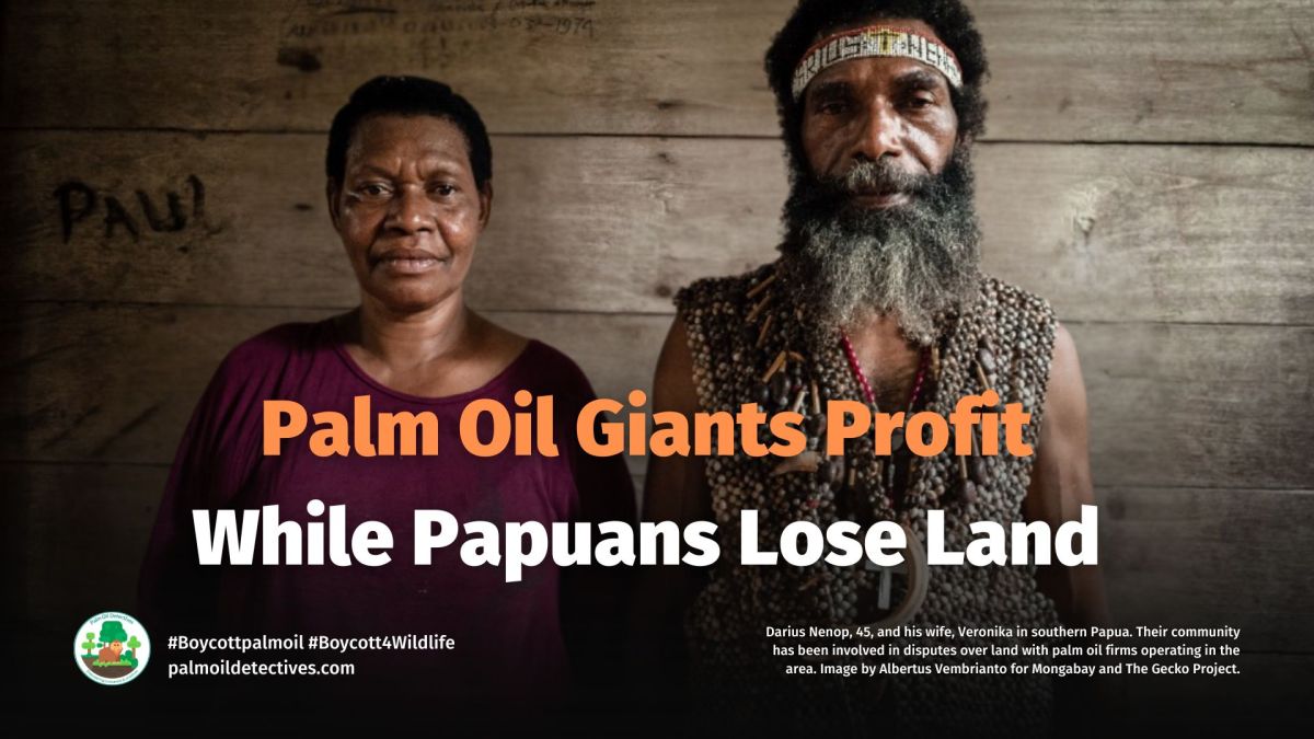Greasing the Wheels of Colonialism: Palm Oil Industry in West Papua 