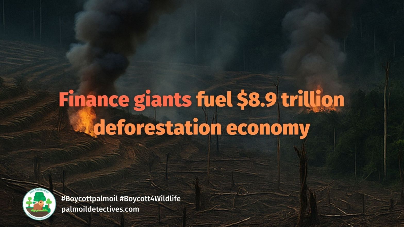 Finance giants JP Morgan and Vanguard fuel $8.9 trillion deforestation economy 1