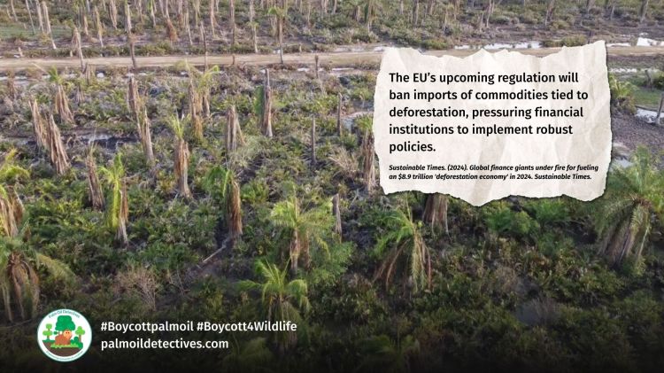 Finance giants JP Morgan and Vanguard fuel $8.9 trillion deforestation economy - palm oil deforestation