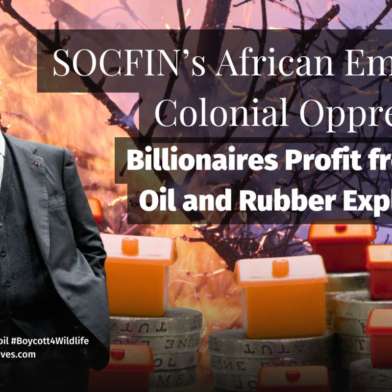 SOCFIN’s African Empire of Colonial Oppression: Billionaires Profit from Palm Oil and Rubber&nbsp;Exploitation