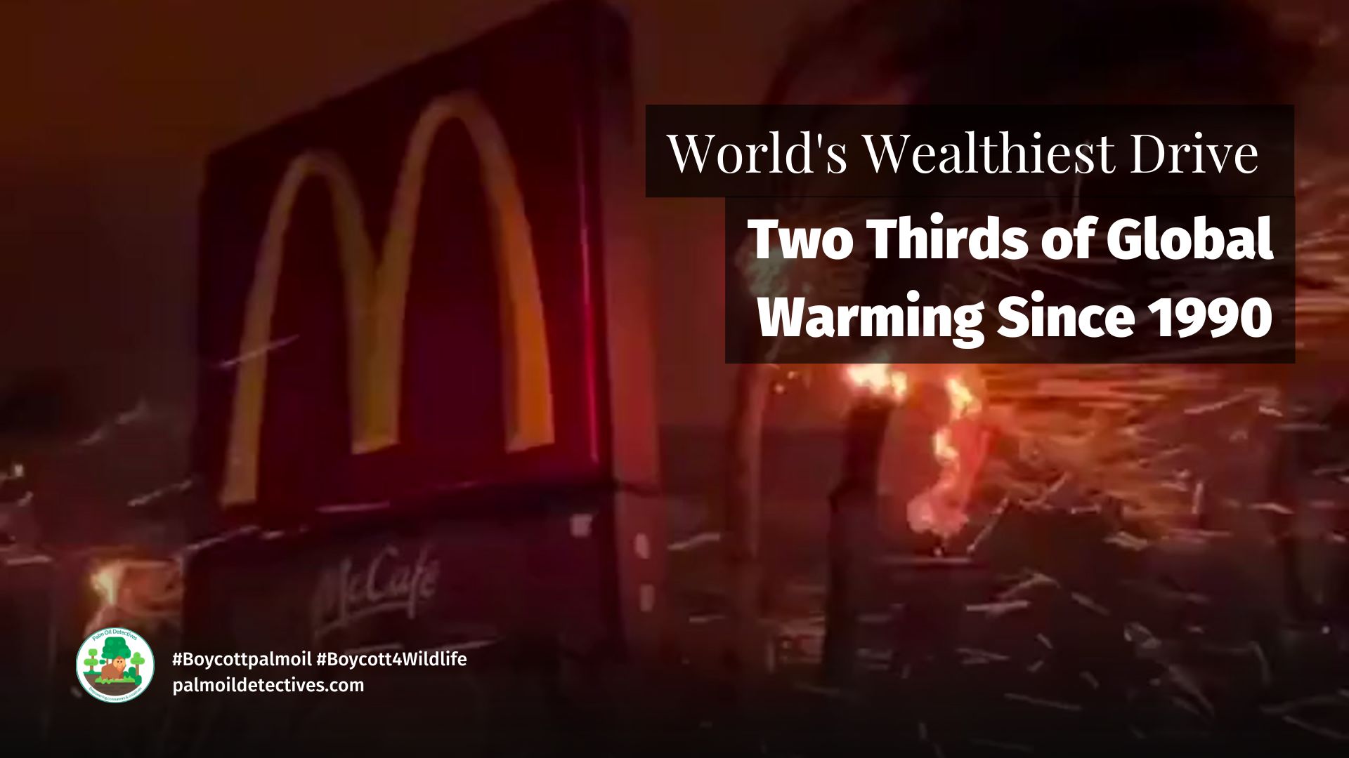 World's Wealthiest People Drive Two Thirds of Global Warming Palm Oil Detectives