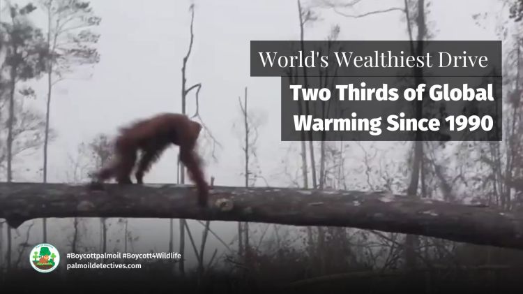 World's Wealthiest Drive Two Thirds of Global Warming Since 1990