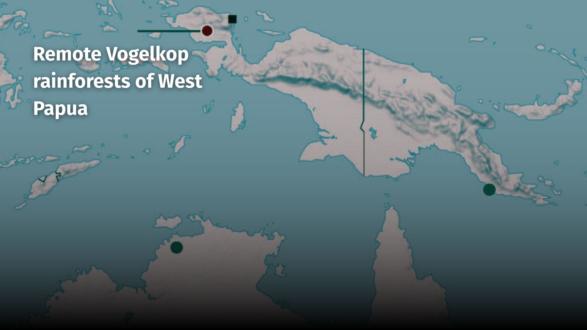 Two new marsupials found in West Papua